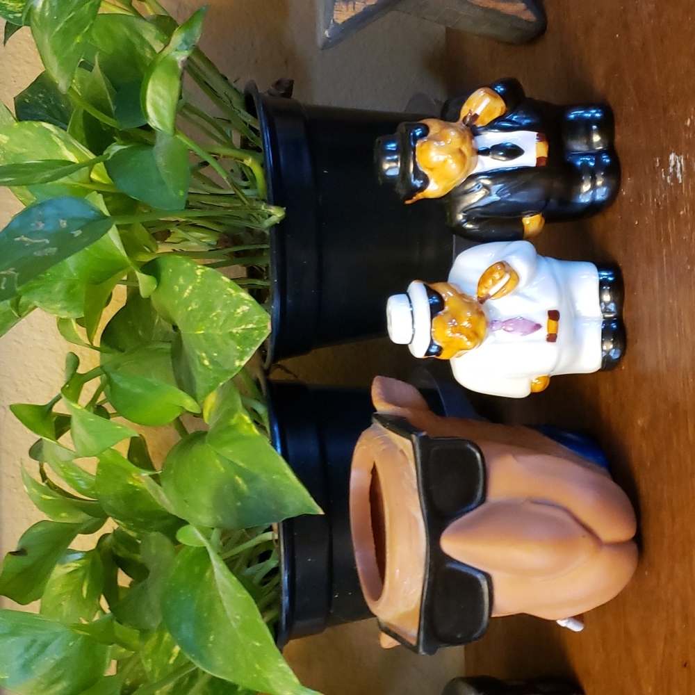 Vintage Joe Camel Salt and pepper set with can holder..